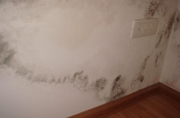 當(dāng)代國際花園四期飄窗滲水找堵漏公司