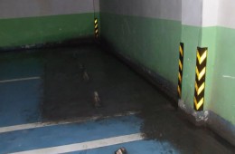 青羊浣花广场 地下停车库漏水