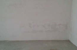 省崗南水庫(kù)管理局宿舍 墻壁像是漏水找?guī)煾瞪祥T檢查