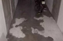 安徽交通职业技术学院 地下室地面渗水