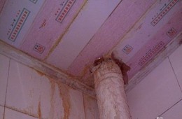 余杭區(qū)逸星美容會(huì)館 廁所排水管周圍滴水