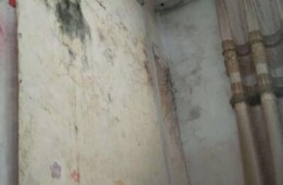 太原市小店区荣晟宾馆 墙上壁纸发霉像是墙上漏水造成的，找师傅上门看看