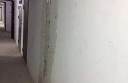 河南省农业科学院 地下室储藏室漏水