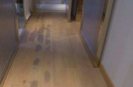 家里底板霉了一片找?guī)煾瞪祥T檢查是不是漏水，給上門費。