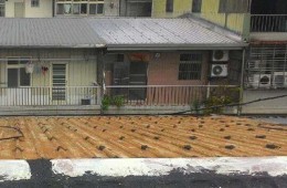 蘇州市姑蘇區(qū)壽寧弄 房頂彩鋼板進水