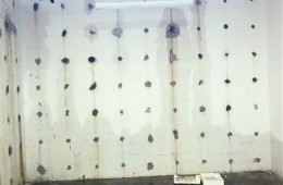 辽宁省农业科院 地下室多处墙壁裂缝渗水