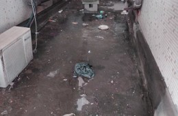 沈陽理工大學(xué)科技園 防水翻修歡迎報(bào)價(jià)。