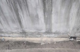 烏魯木齊市第113中學(xué)科教樓屋頂水溝漏水