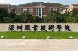 深圳职业技术学院楼宇防水修缮工程施工采购
