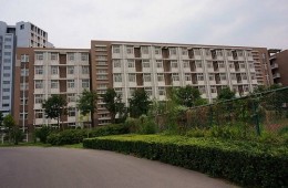 天津师范大学部分建筑屋面防水修缮工程