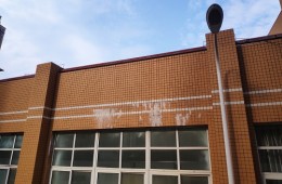 武漢漢陽區(qū)楚才小學(xué)會(huì)議廳樓頂漏水修理