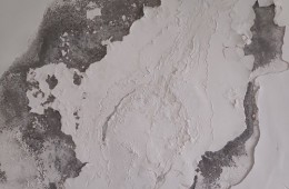 開福區(qū)長沙市第一醫(yī)院樓宇零星漏水修繕工程外包
