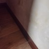 2樓外墻根漏水，外面是平臺，1樓商鋪