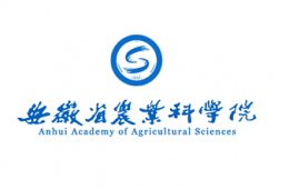 安徽農(nóng)科院科研大樓屋面防水工程